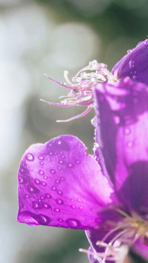 PRINT#18 - MINDO COLLECTION