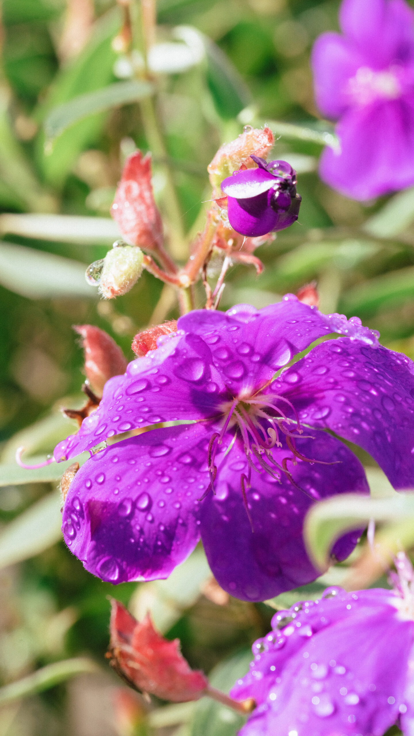 PRINT#19 - MINDO COLLECTION