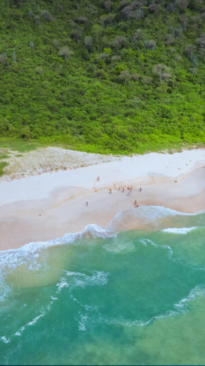 PRINT#16 - AYAMPE COLLECTION