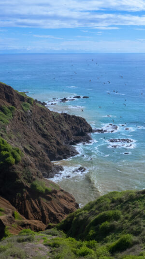 PRINT#12 - AYAMPE COLLECTION