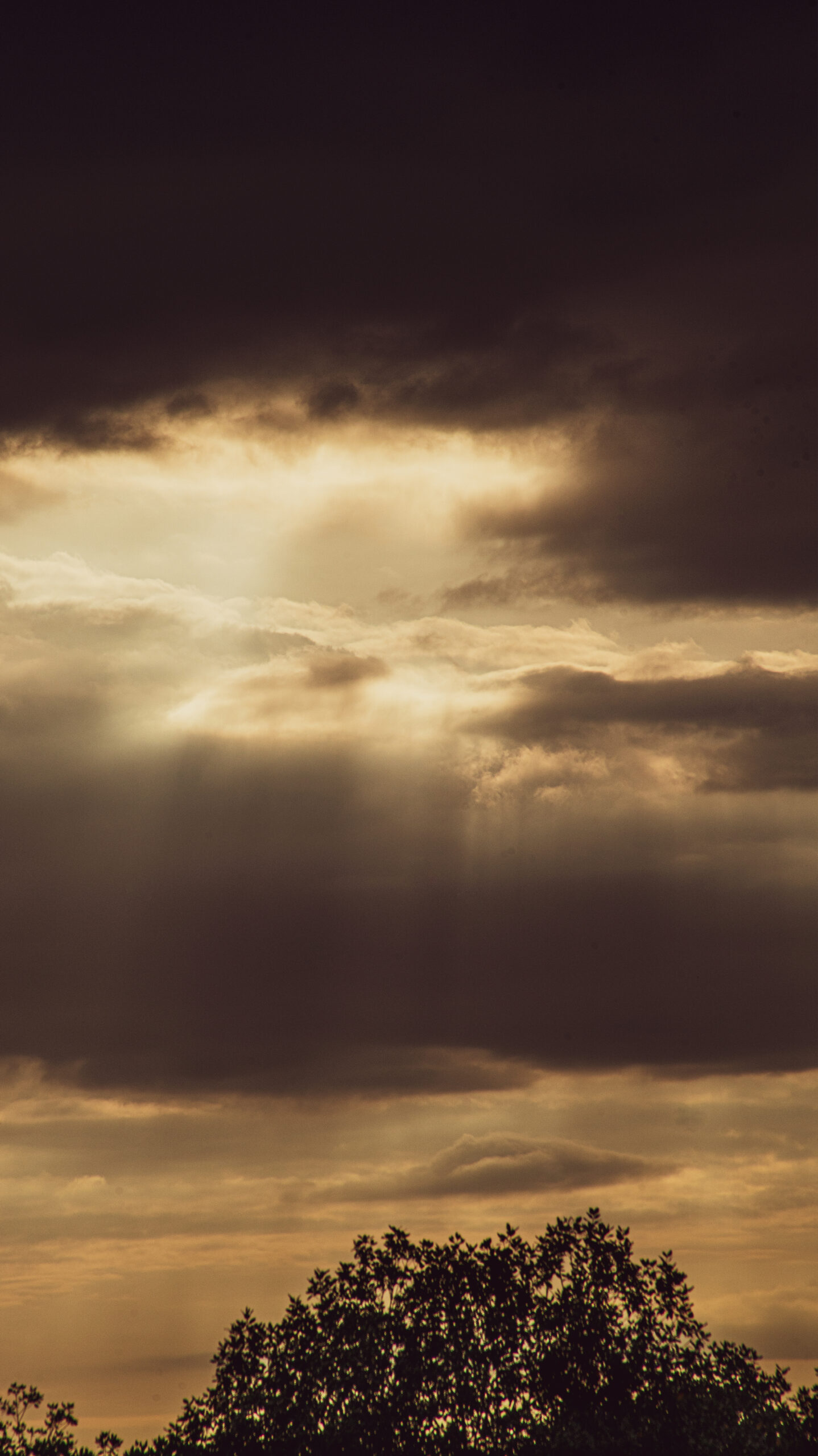 PRINT#11-SOL COLLECTION