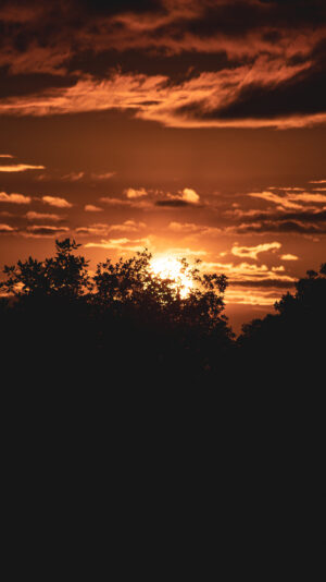 PRINT#10-SOL COLLECTION