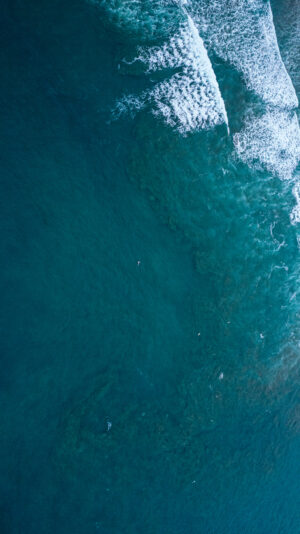 PRINT#15 - AYAMPE COLLECTION