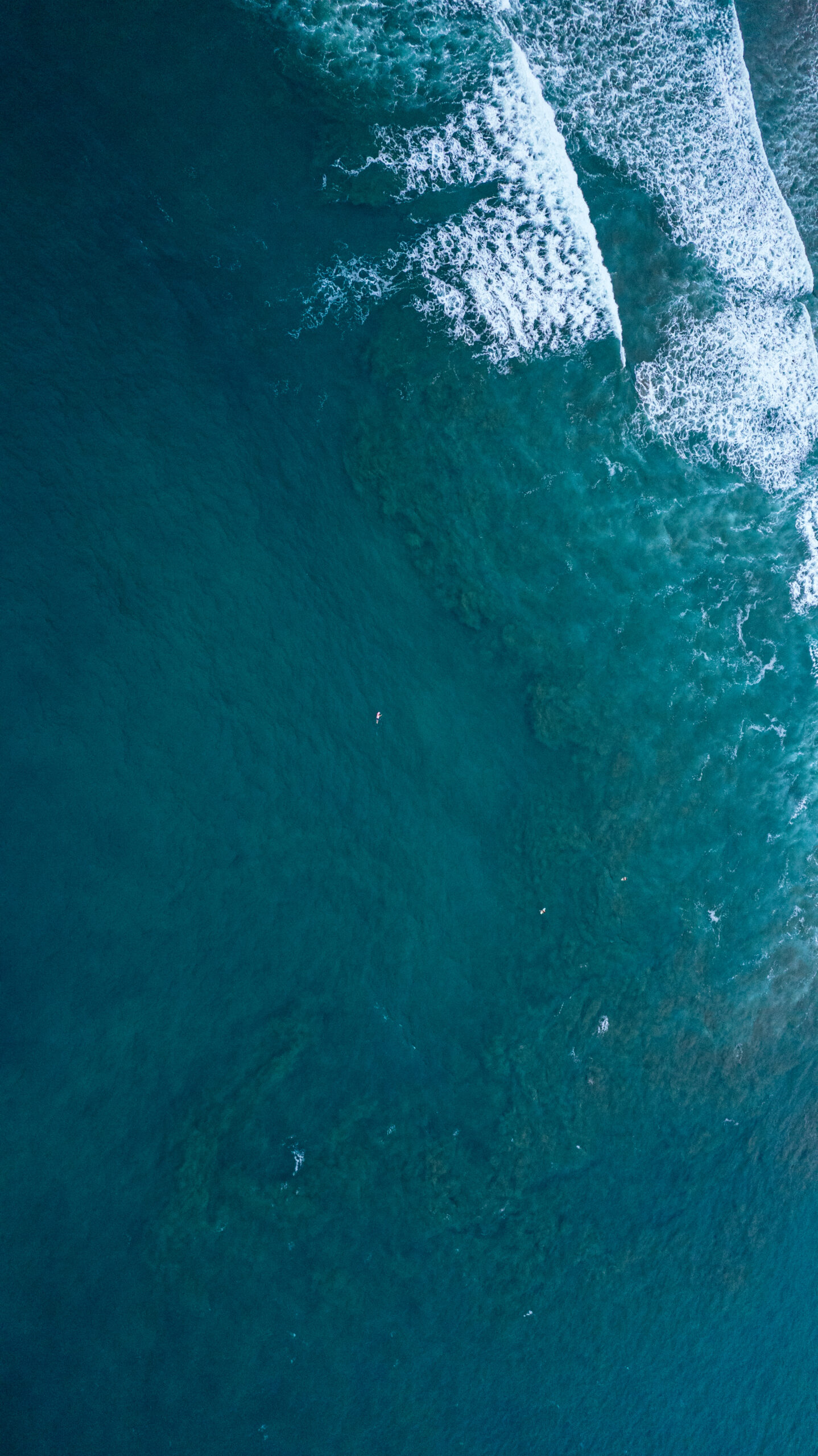 PRINT#15 - AYAMPE COLLECTION