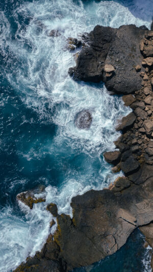 PRINT#13 - AYAMPE COLLECTION