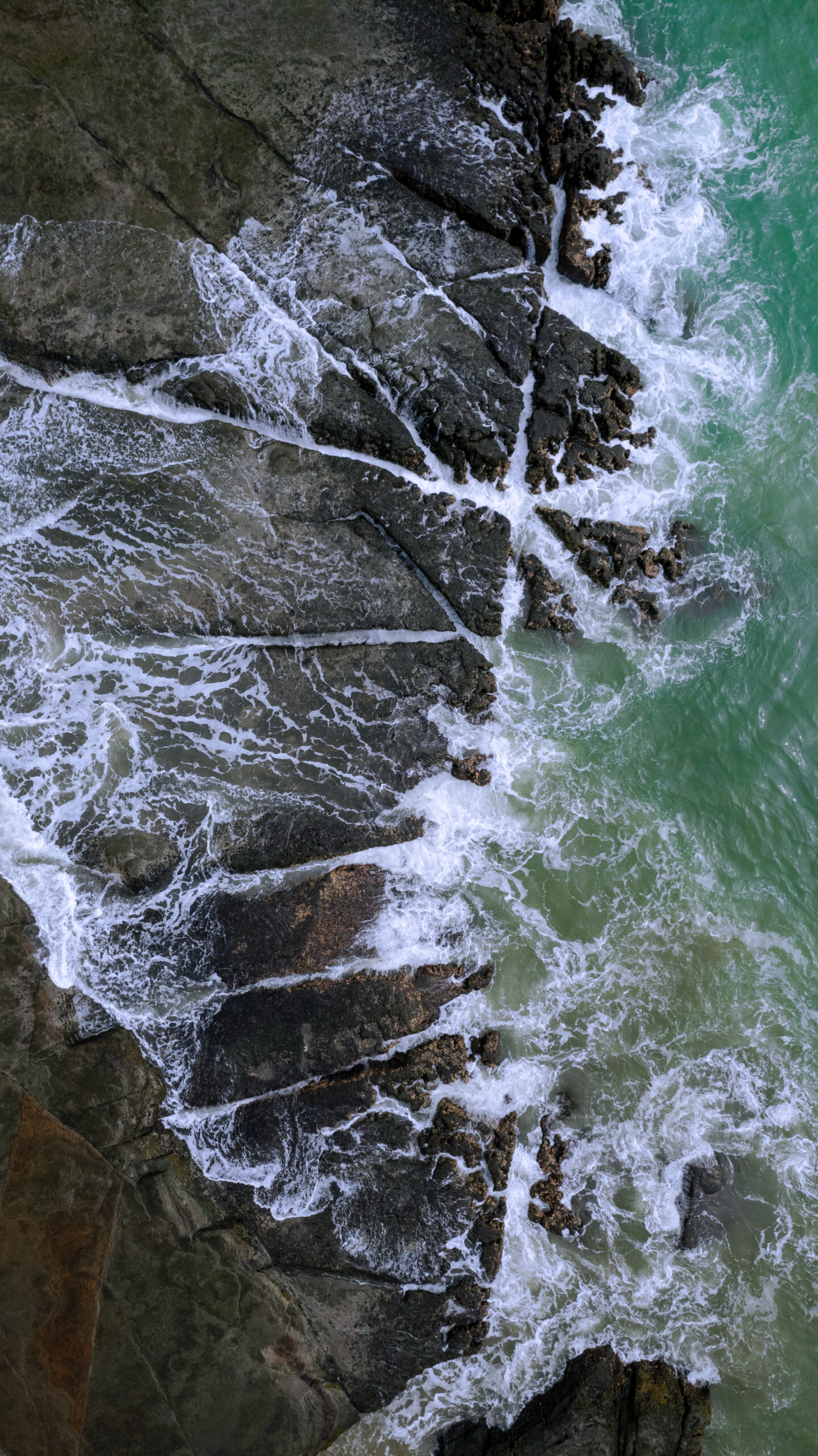 PRINT#14 - AYAMPE COLLECTION