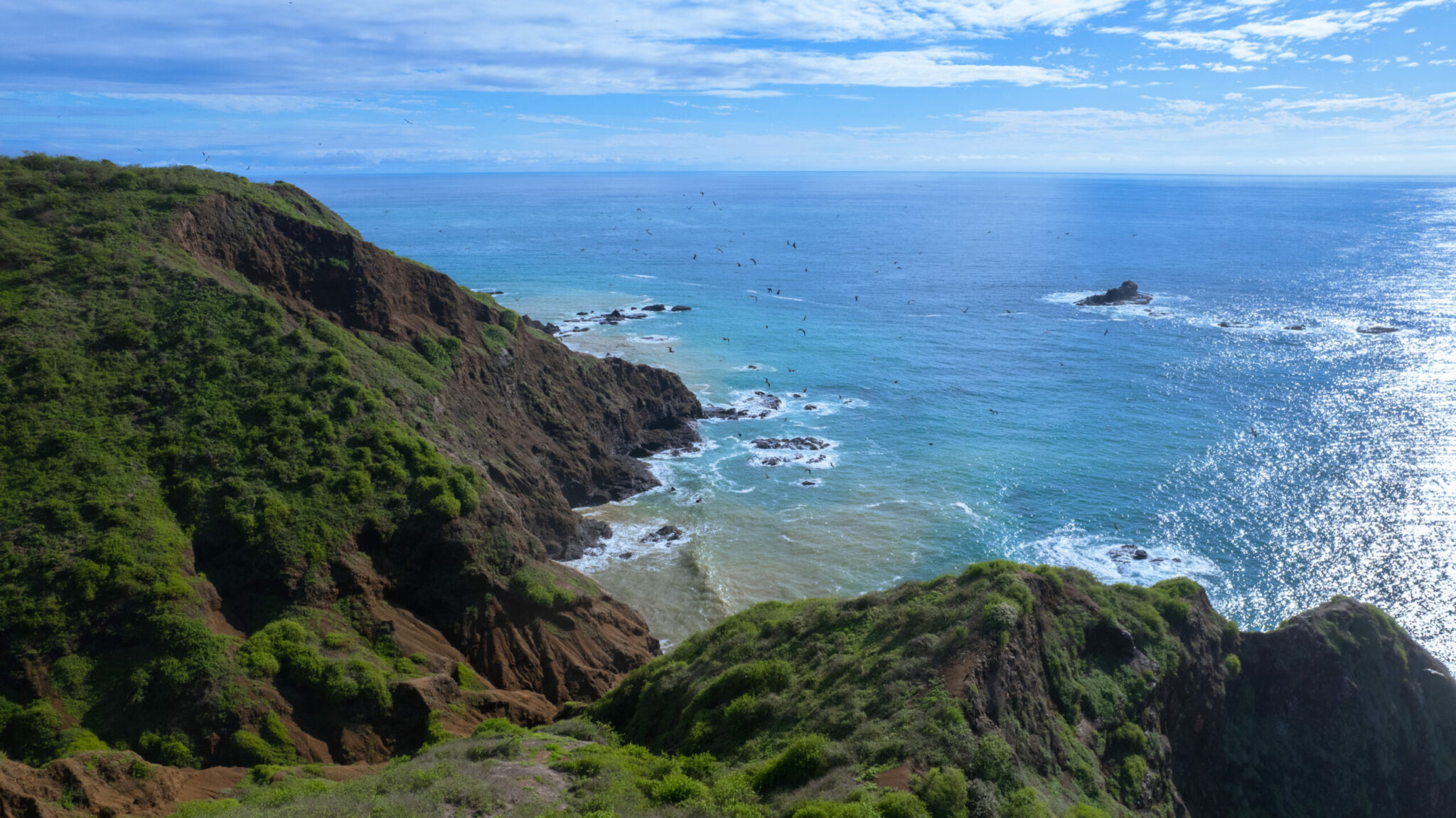 PRINT#12 - AYAMPE COLLECTION - Image 2