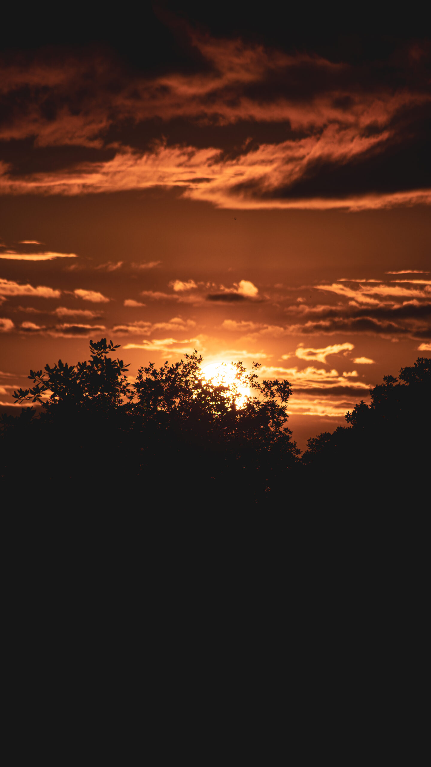 PRINT#10-SOL COLLECTION - Image 2