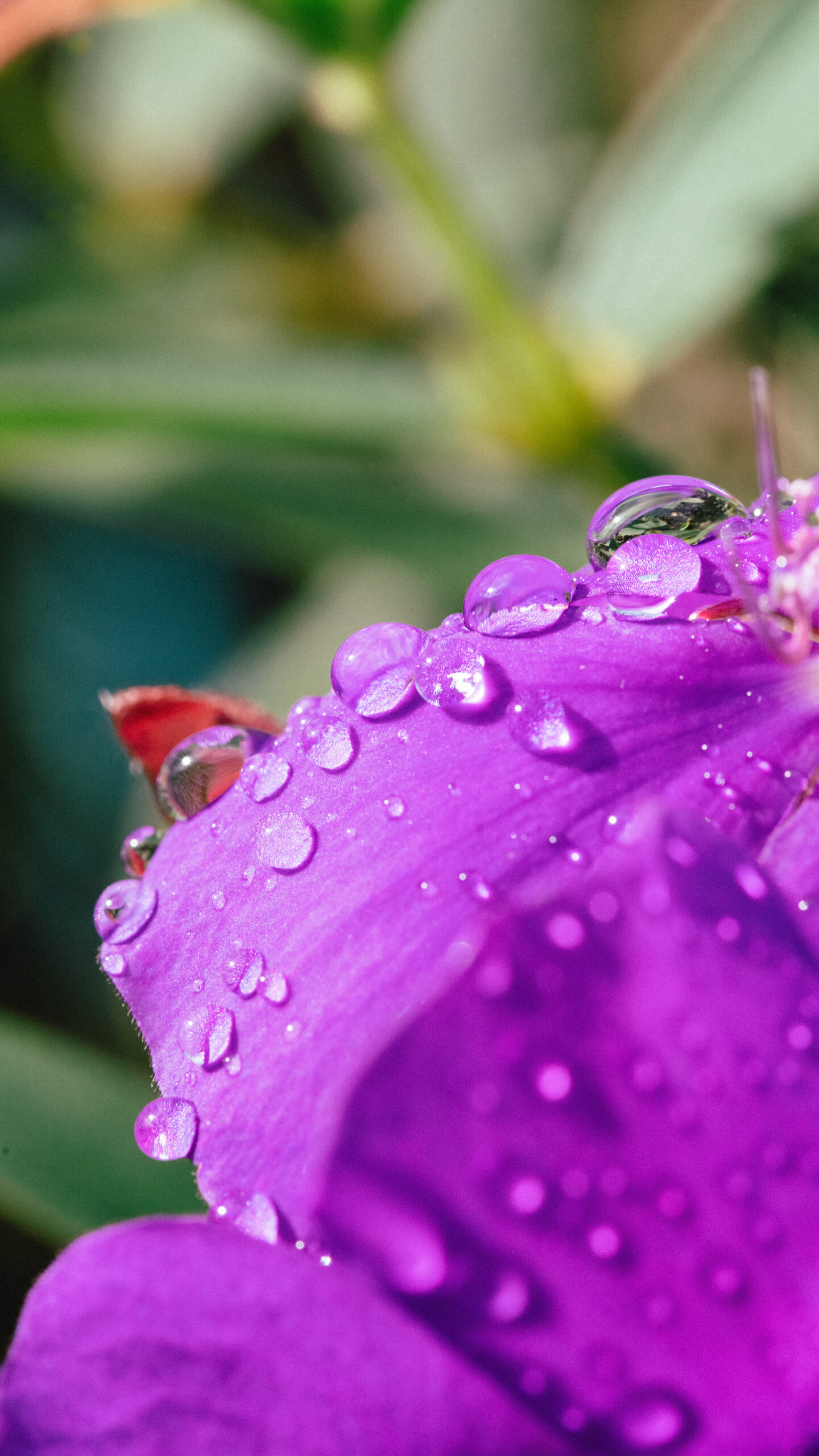 PRINT#17-MINDO COLLECTION