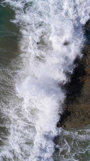 PRINT#4 - ELEMENTAL COLLECTION