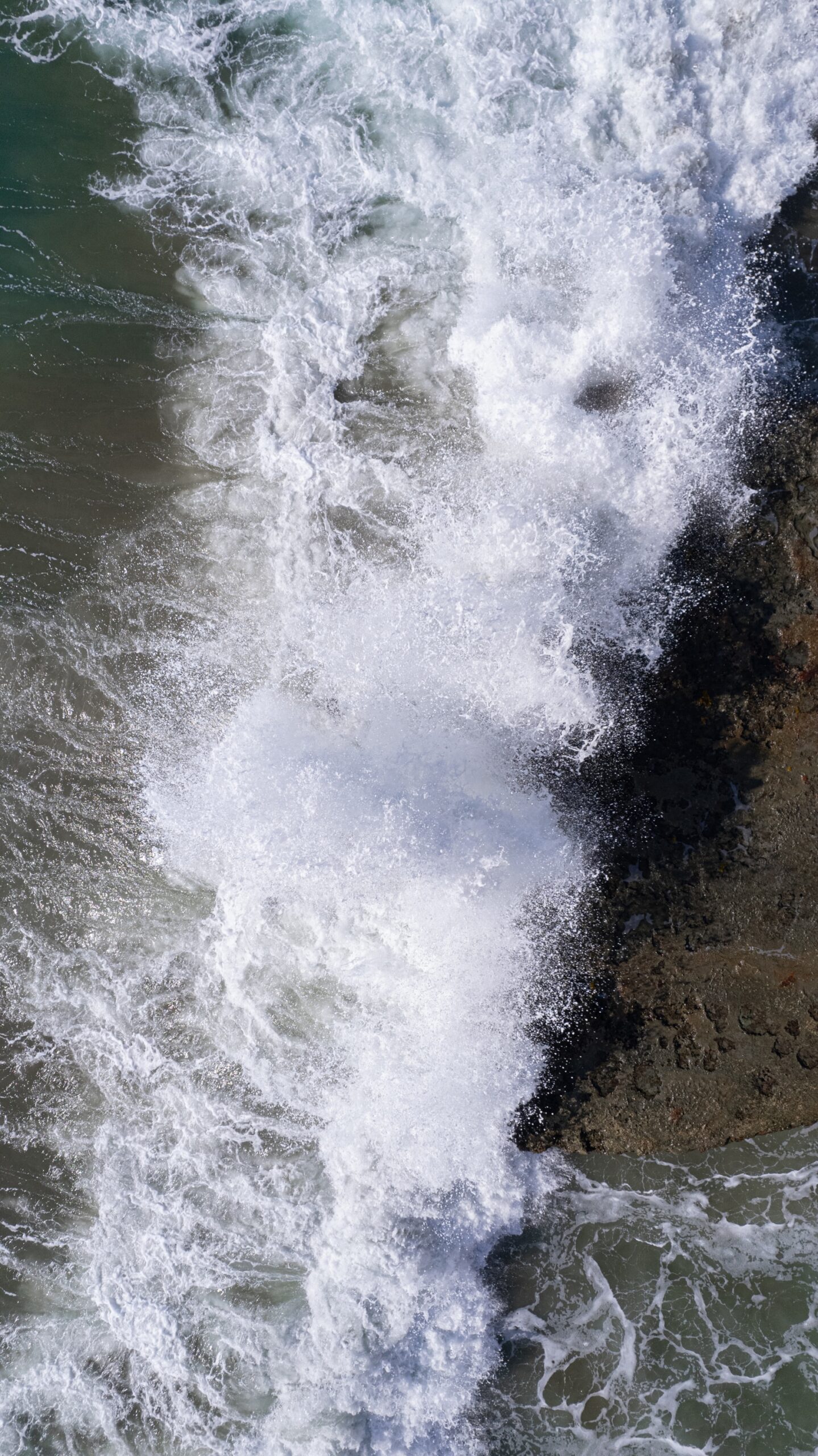 PRINT#4 - ELEMENTAL COLLECTION