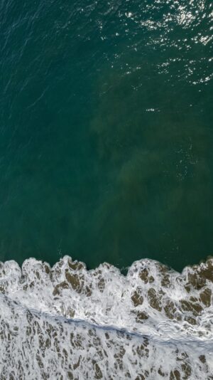 PRINT#5 - ELEMENTAL COLLECTION