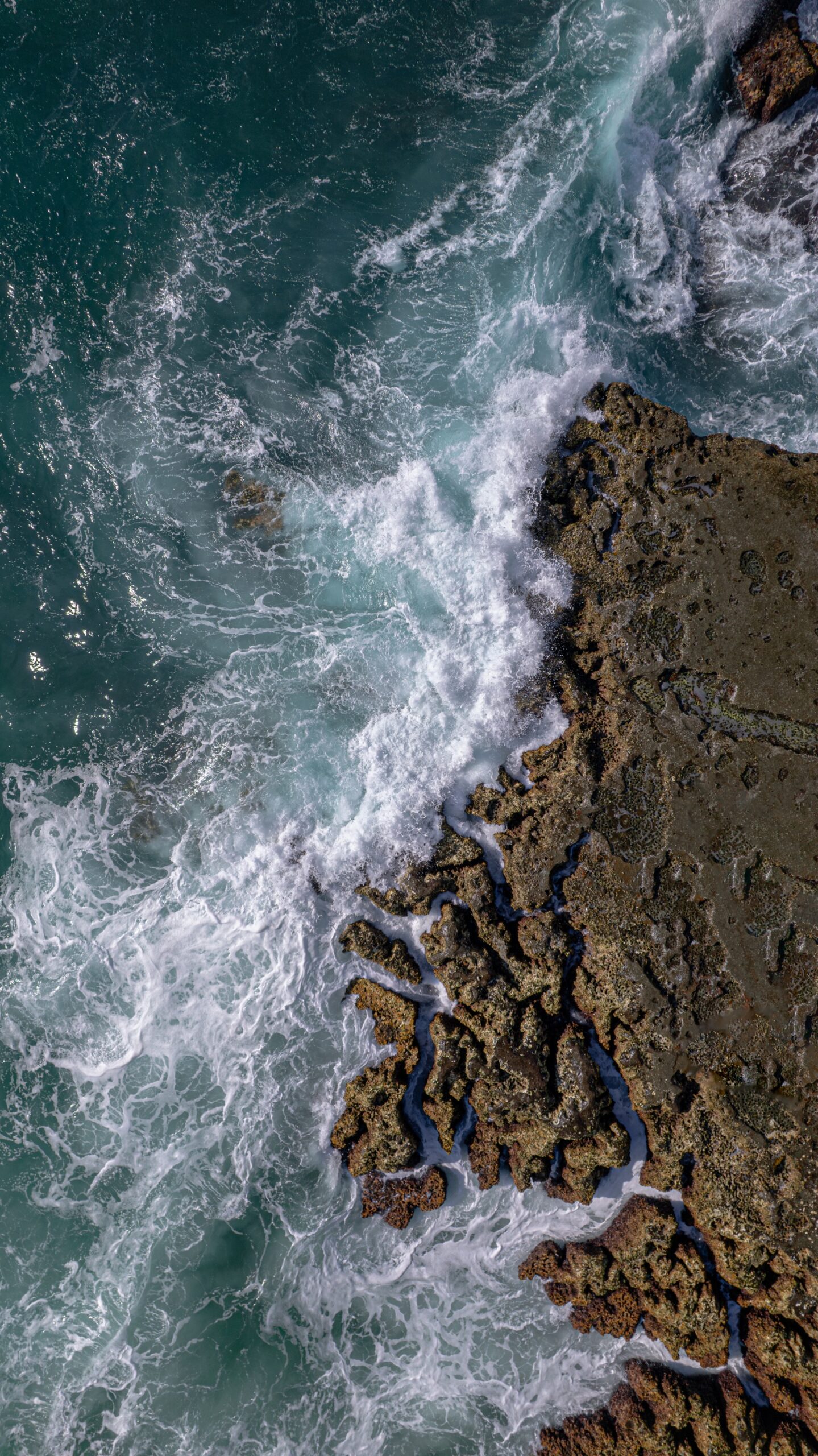 PRINT#8 - ELEMENTAL COLLECTION