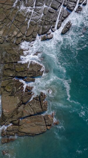 PRINT#7 - ELEMENTAL COLLECTION