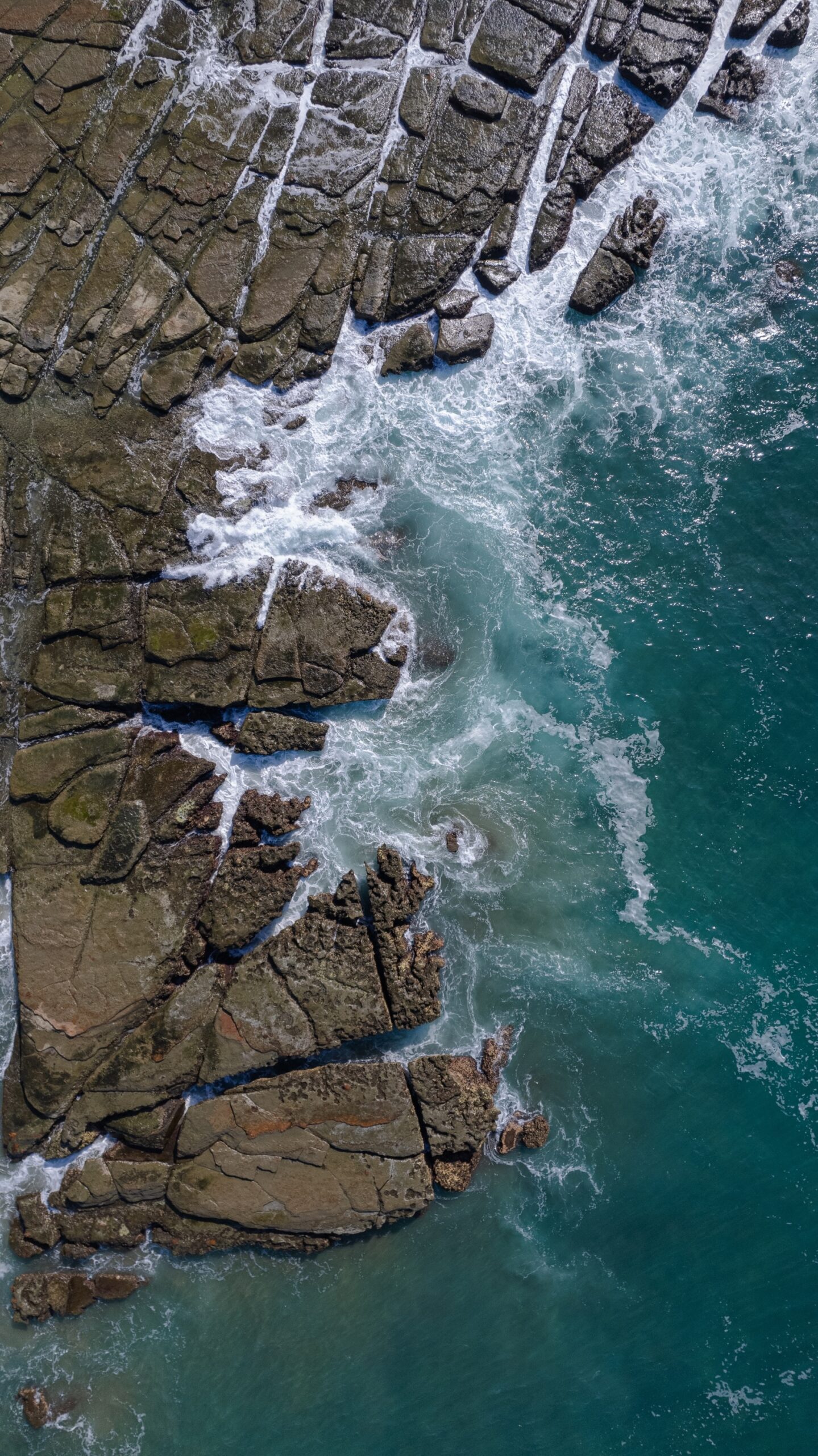 PRINT#7 - ELEMENTAL COLLECTION