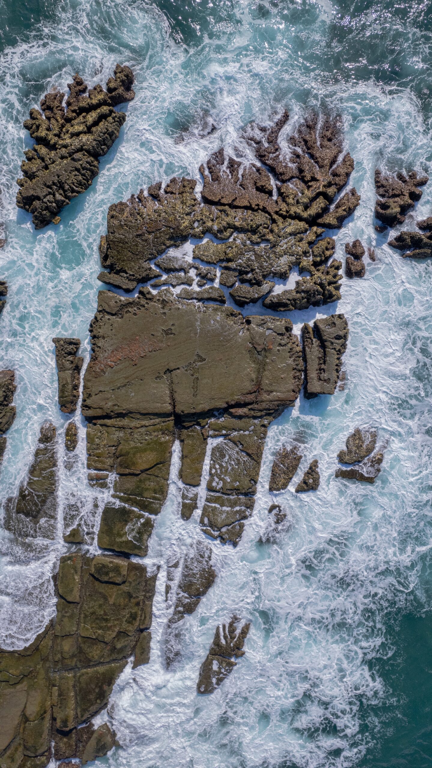 PRINT#3 - ELEMENTAL COLLECTION